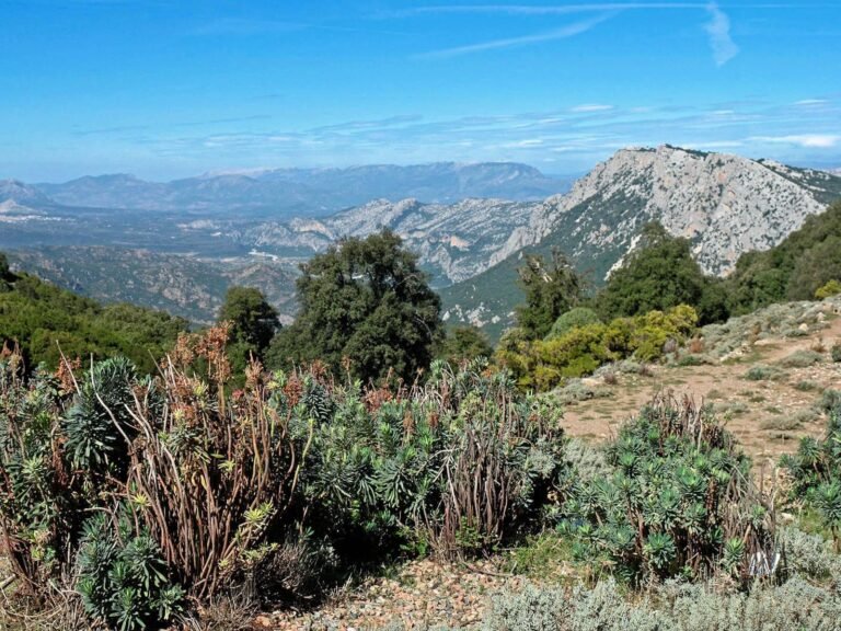 Les collines de Marseille