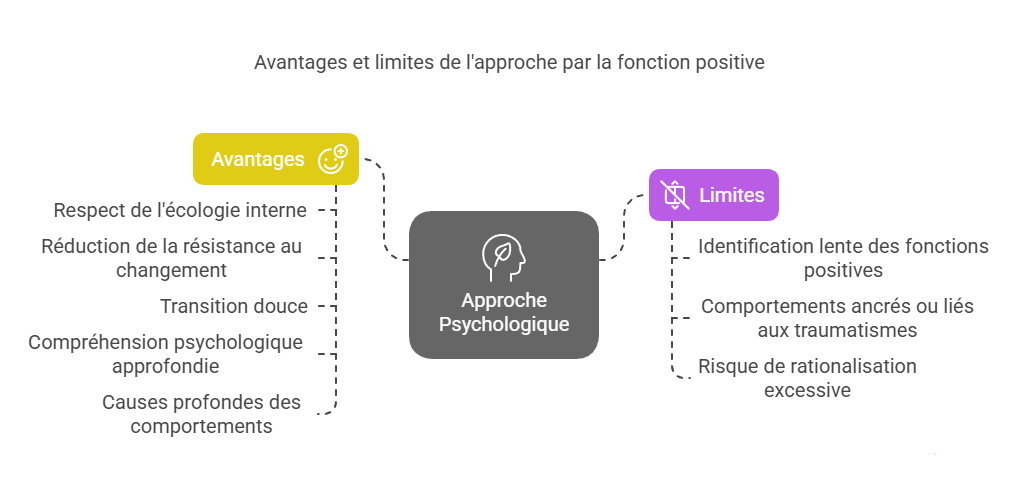 Avantages et limites de l'approche par la fonction positive