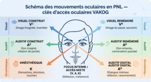 Schéma des mouvements oculaires en PNL — clés d'accès oculaires VAKOG