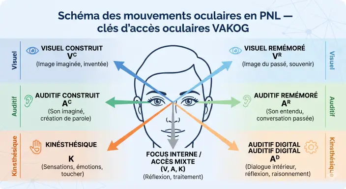 Schéma des mouvements oculaires en PNL — clés d'accès oculaires VAKOG